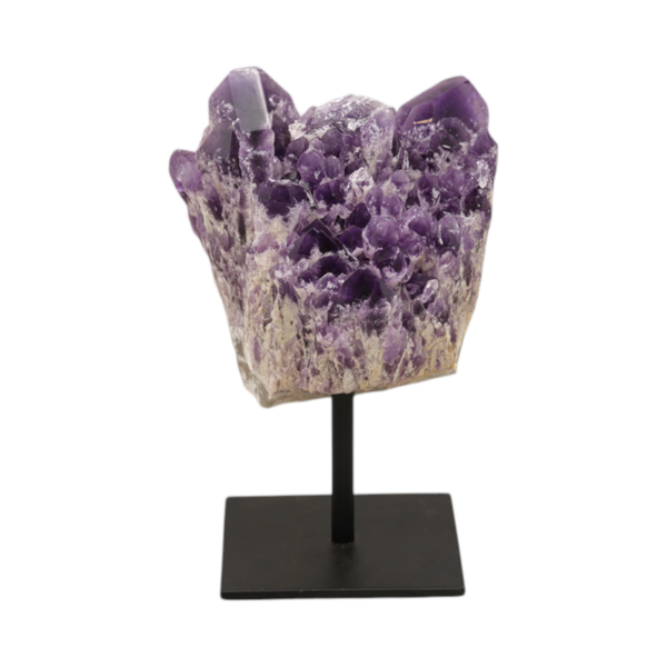 Op standaard - Amethist Jacaré #1