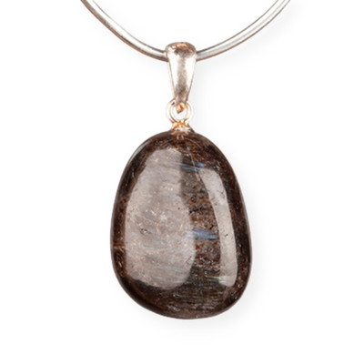 Astrofylliet - gezondheidshanger