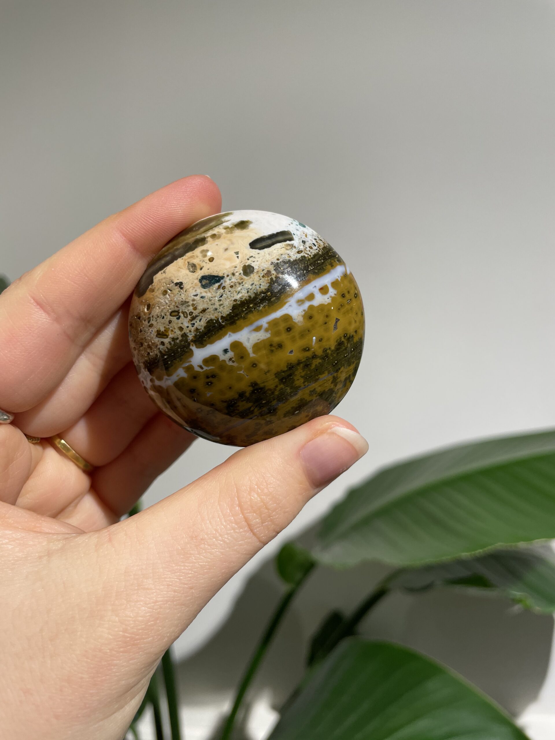 Oceaan Jaspis - lens #1