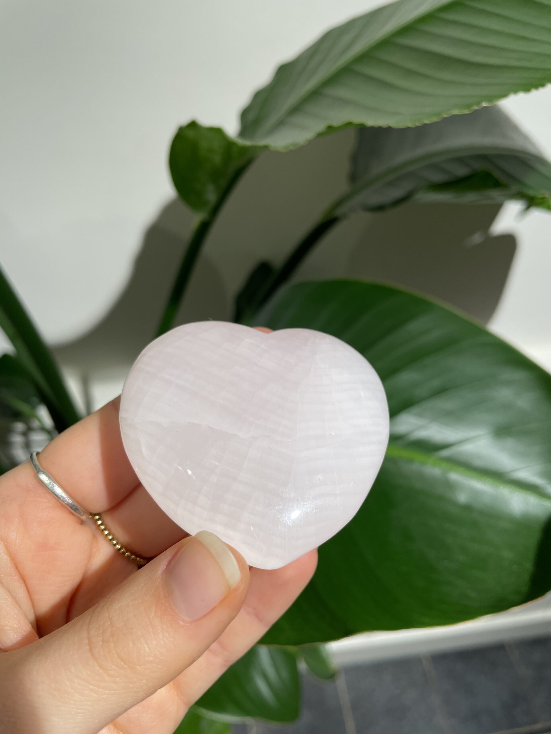 Hart - 60MM - Mangano Calciet - Afbeelding 3