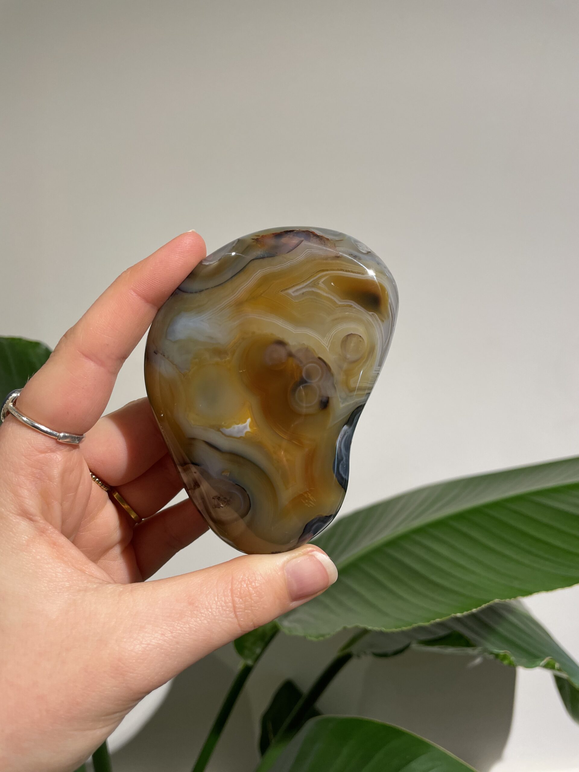 Soapstone - Dendriet Agaat