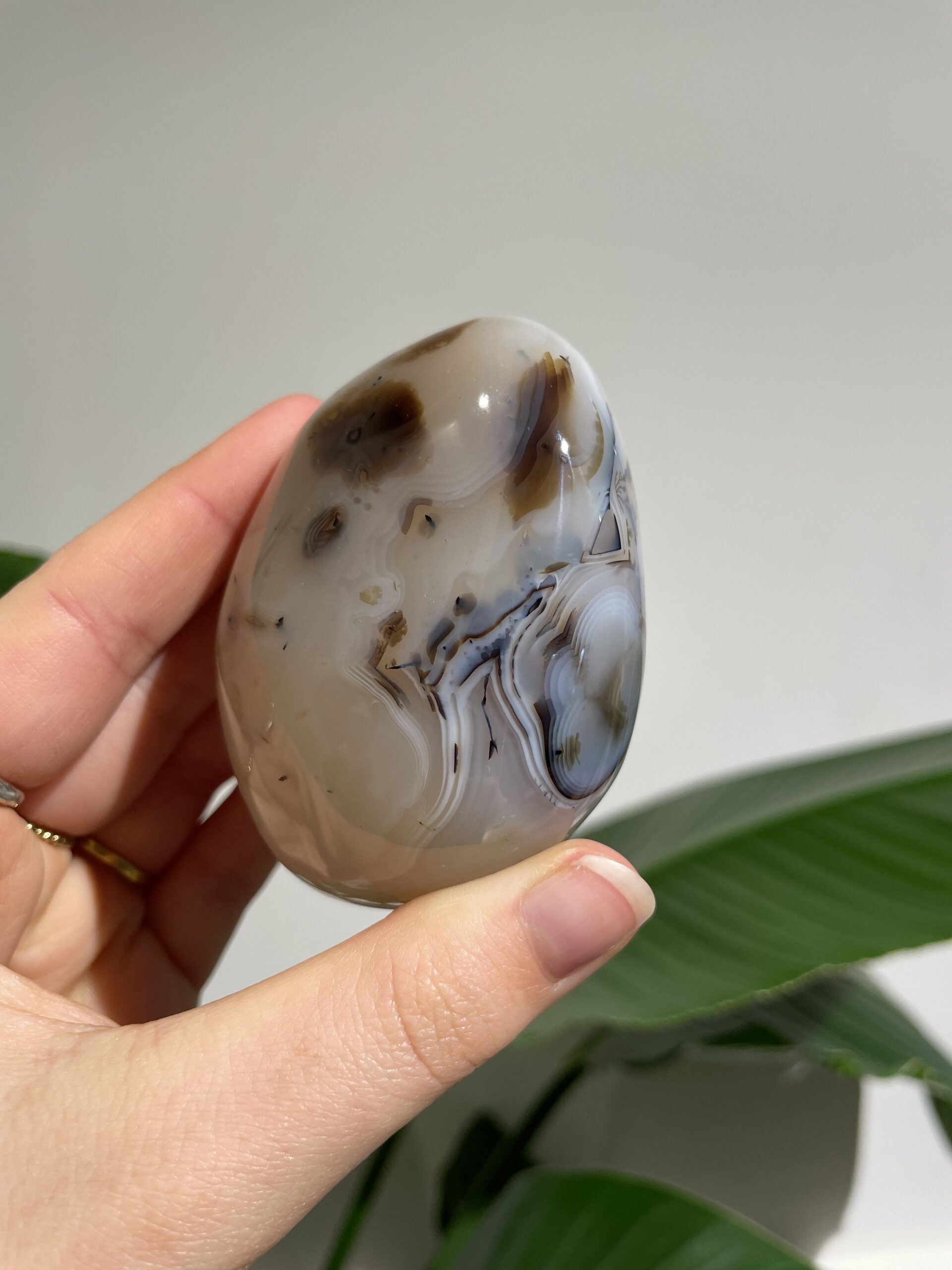 Dendriet Agaat - Soapstone