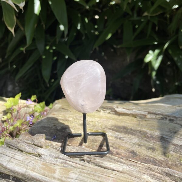 Op standaard - Rozekwarts Tumble #1