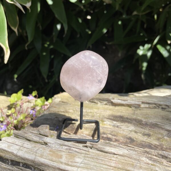 Op standaard - Rozekwarts Tumble #8