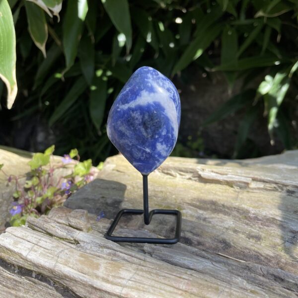 Op standaard - Tumble - Sodaliet #10