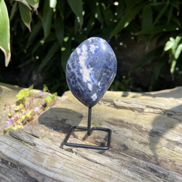 Op standaard - Tumble - Sodaliet #1