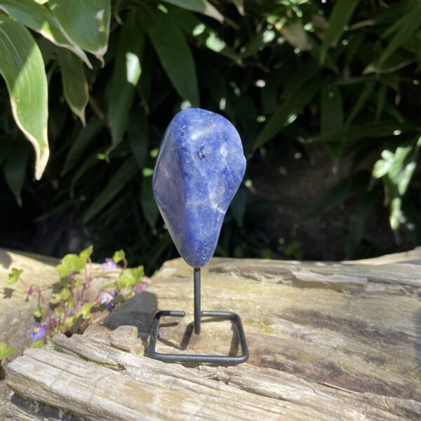 Op standaard - Tumble - Sodaliet #3