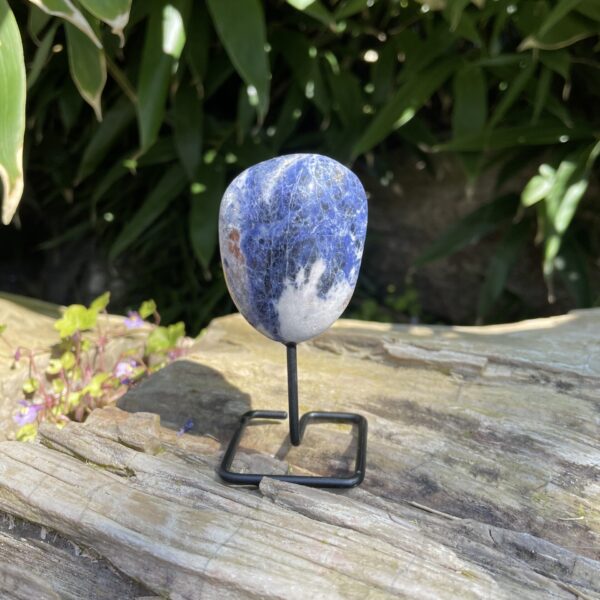 Op standaard - Tumble - Sodaliet #4