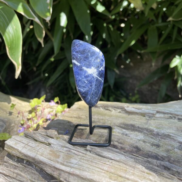 Op standaard - Tumble - Sodaliet #5