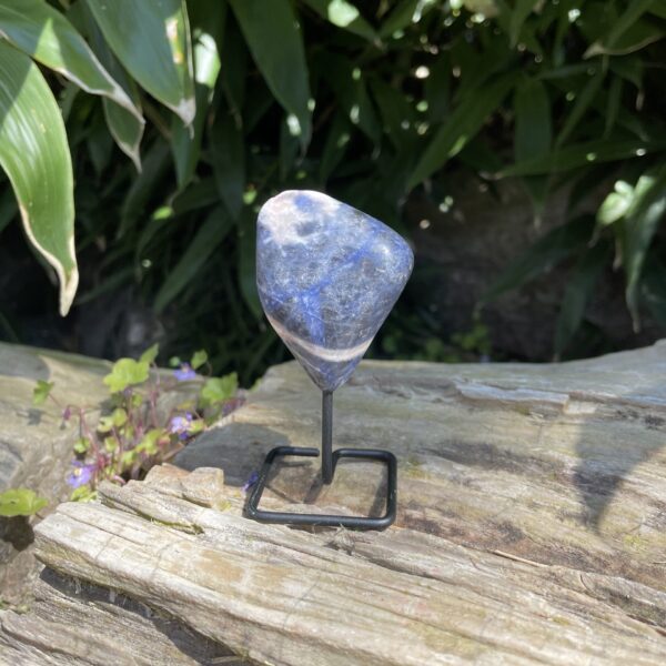 Op standaard - Tumble - Sodaliet #6