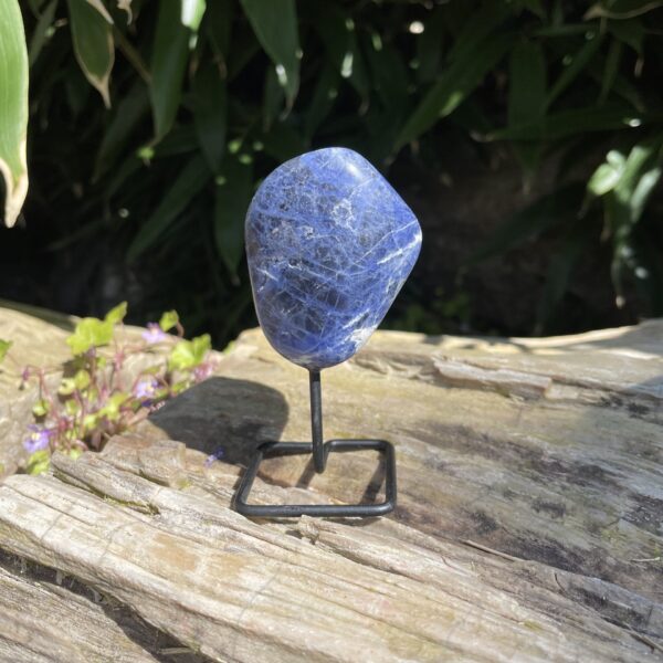 Op standaard - Tumble - Sodaliet #8