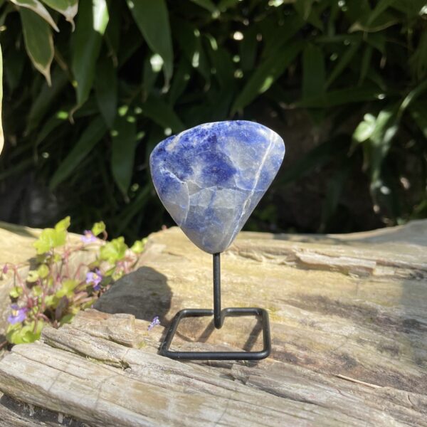 Op standaard - Tumble - Sodaliet #9