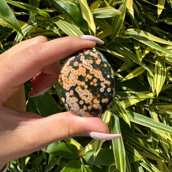 Oceaan Jaspis - Soapstone #7