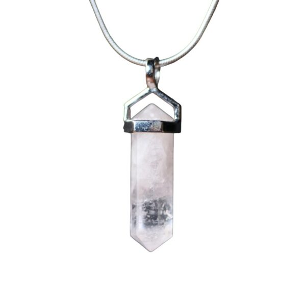 Hanger - Rozekwarts - dubbeleinder