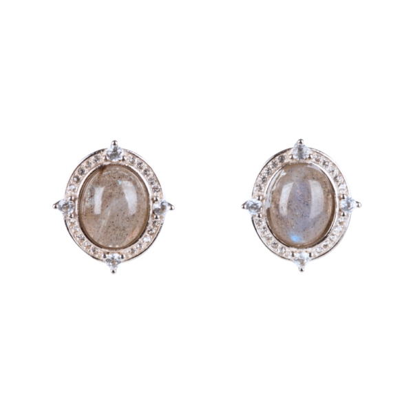 Oorstekers - Labradoriet