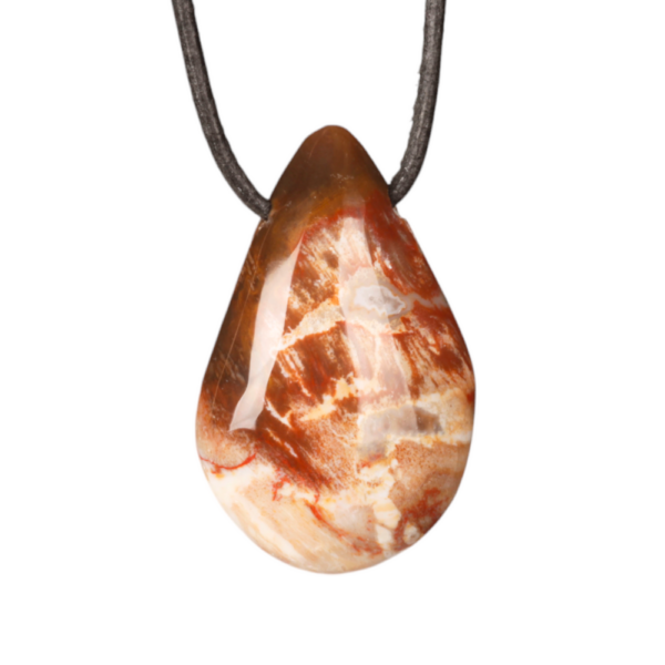 Doorboorde hanger - druppel - Versteend hout