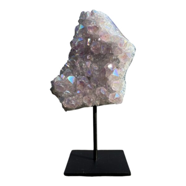 Op standaard - Angel coating #4