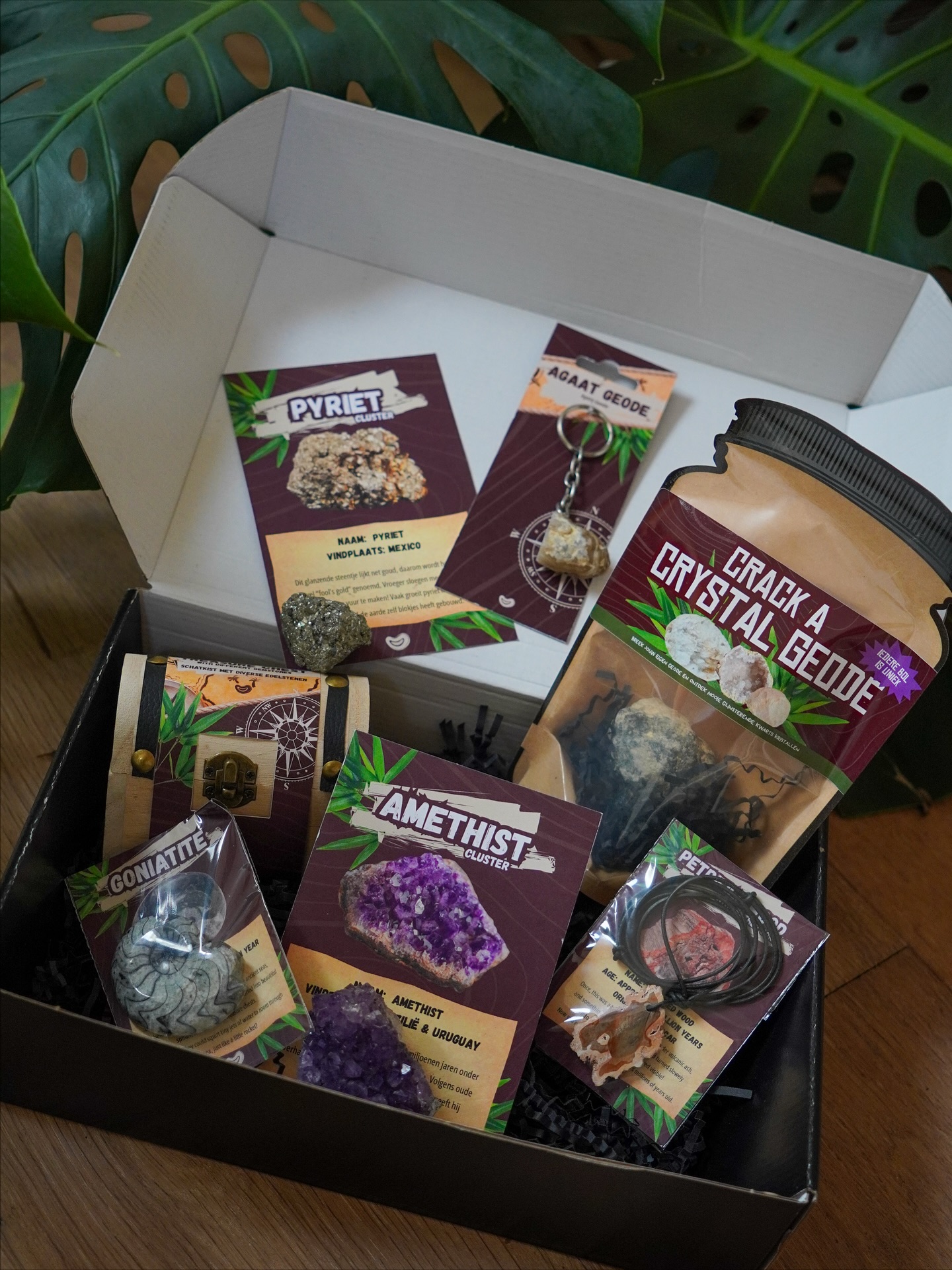 Adventure box - Afbeelding 2