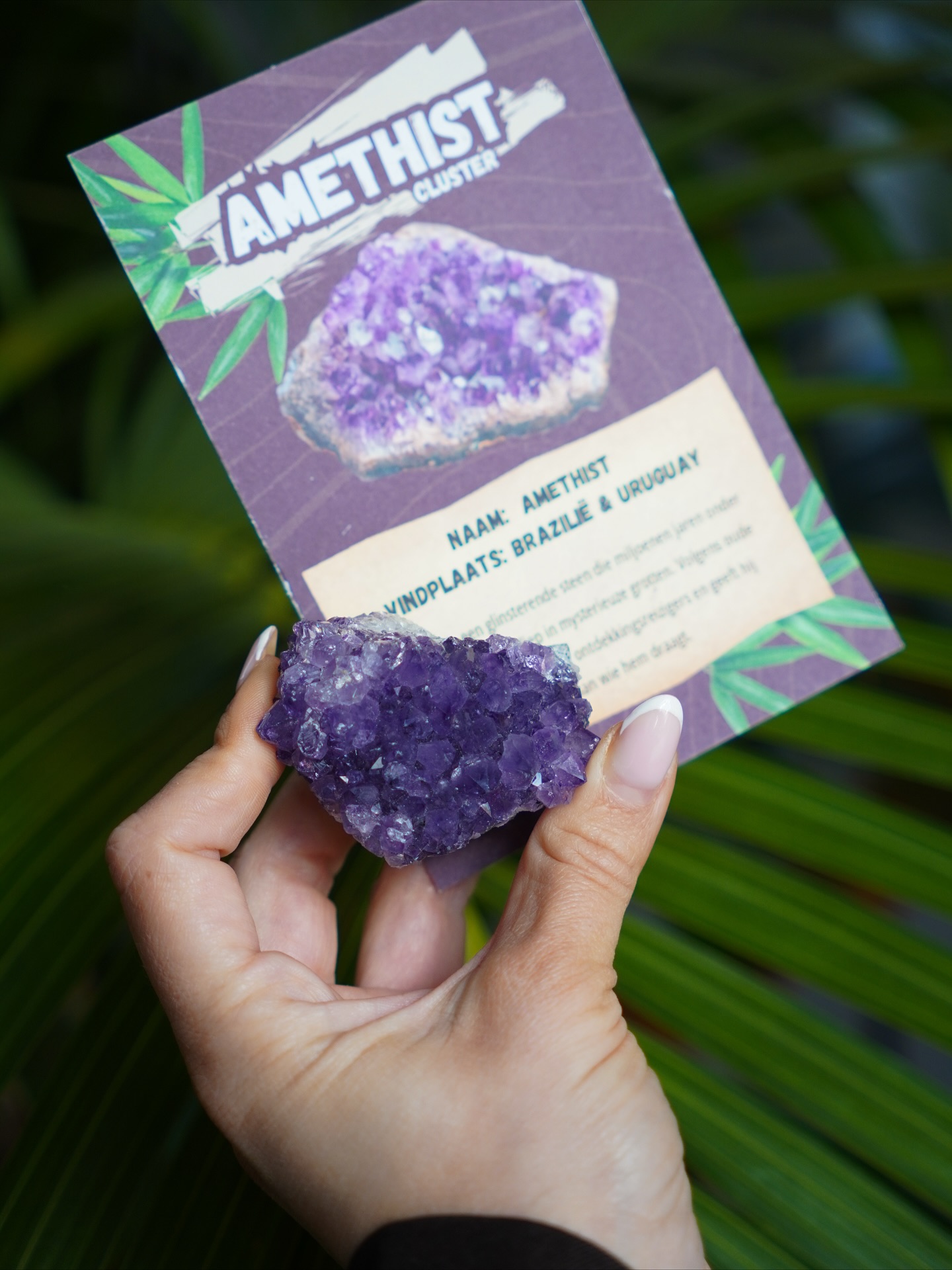 Adventure box - Afbeelding 7