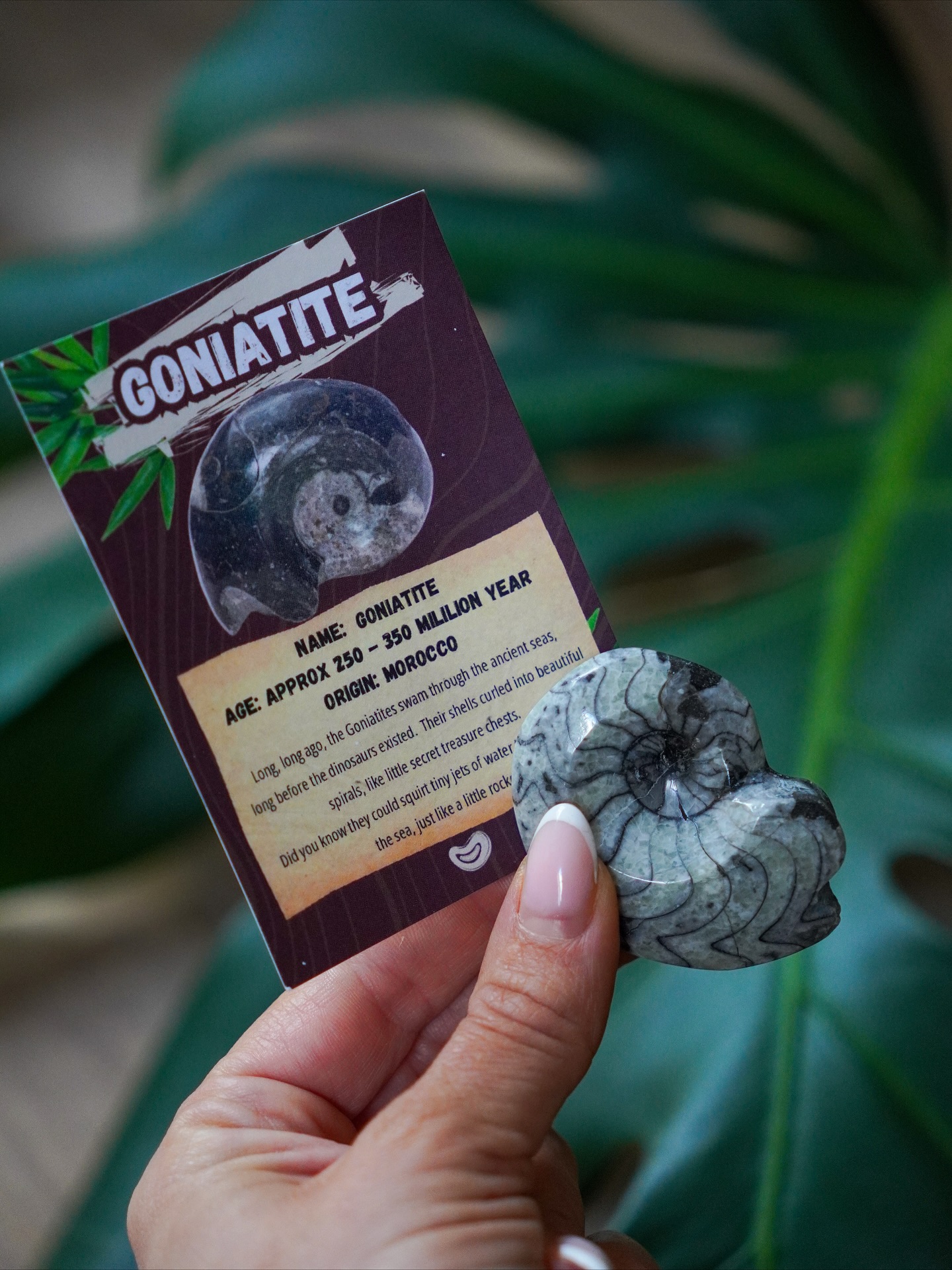 Adventure box - Afbeelding 4