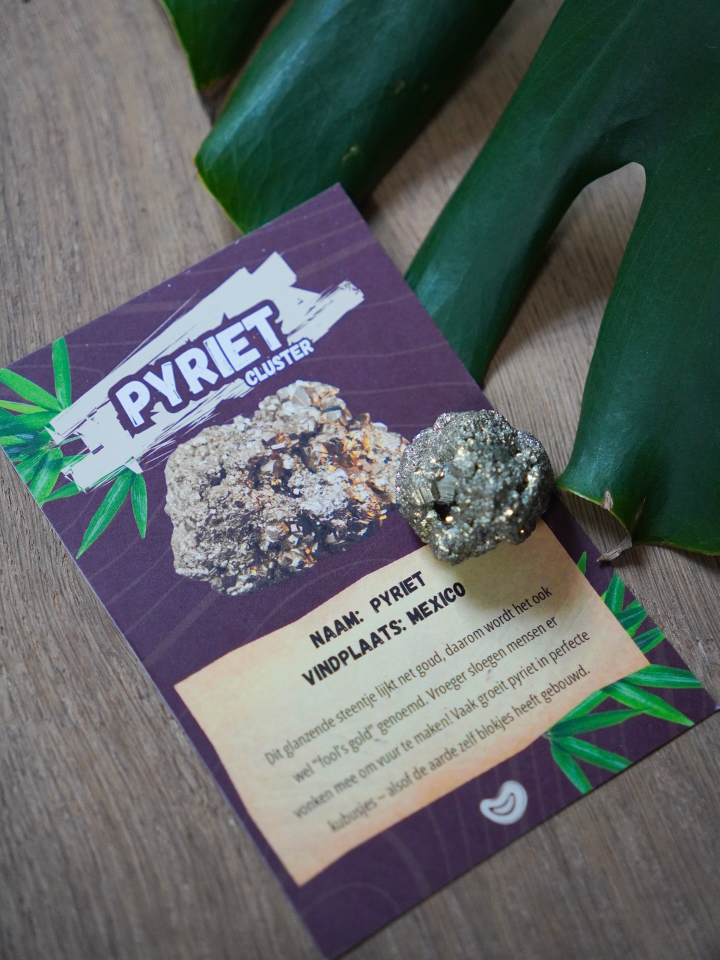 Adventure box - Afbeelding 6