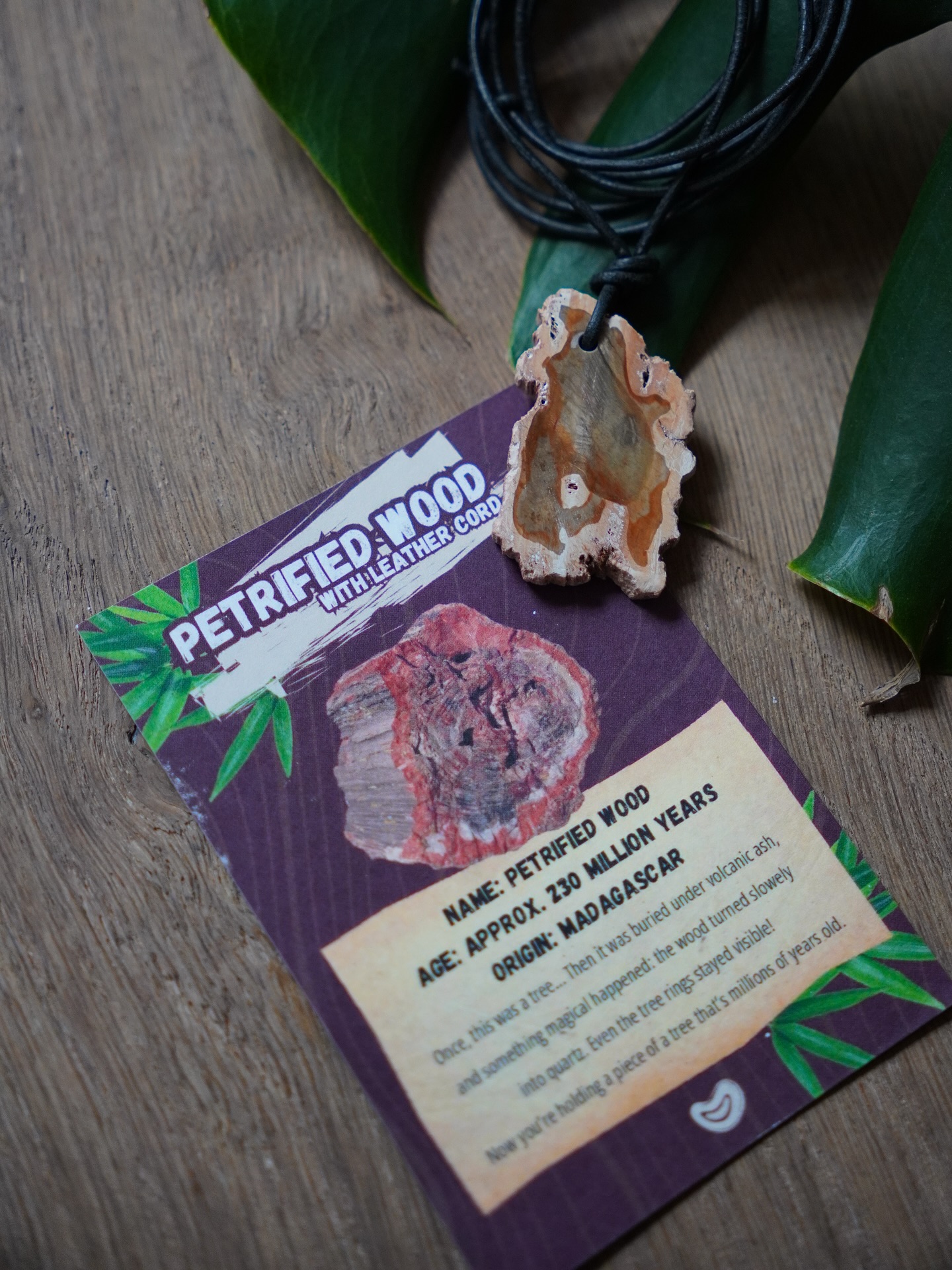 Adventure box - Afbeelding 8